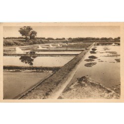 17 ILE D'OLERON. Marais salants avec artisan récolteur de sel 1949