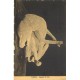 5cpa POMPEI. Multivue, Colonnato Gladiatori, Bronzi & impronta di Cane