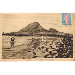 22 LE VAL-ANDRE. A la recherche de crevettes et crustacés au Verdelet à Marée basse 1963