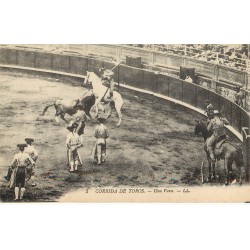 CORRIDA DE TOROS. Taureaux arène una Vara