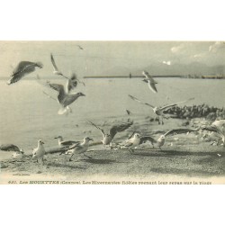 2 cpa 06 CANNES. Les Mouettes et le Monument Edouard VII