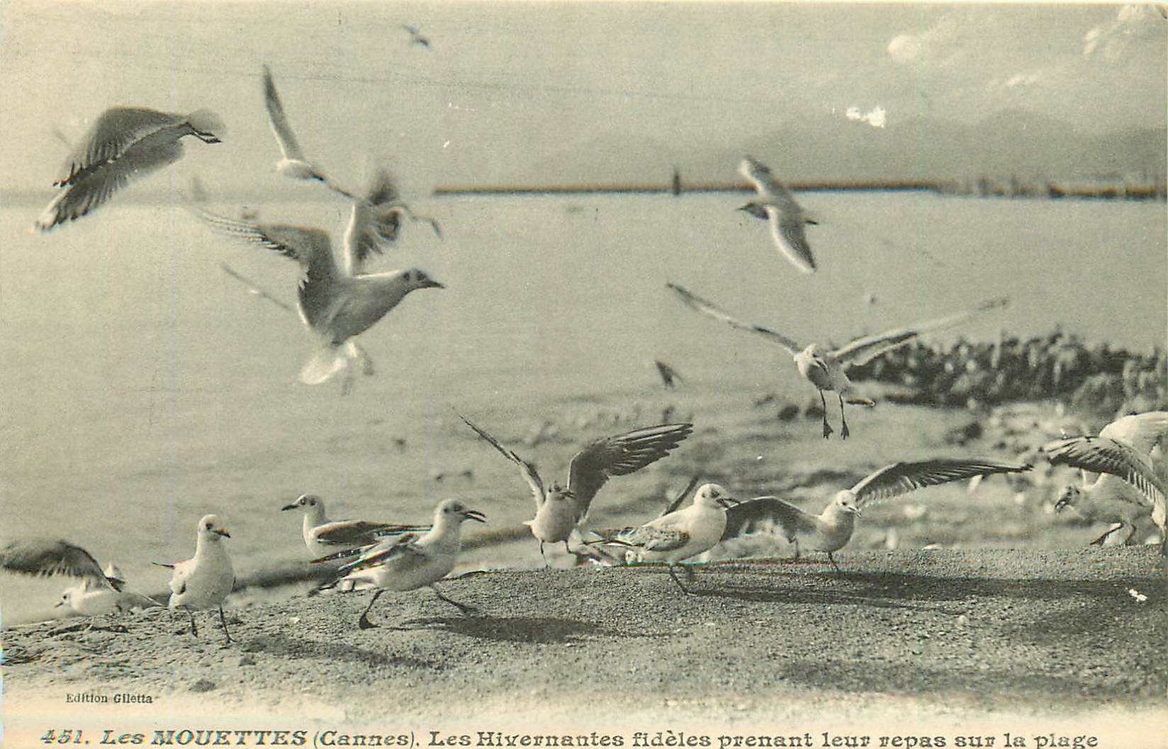 2 cpa 06 CANNES. Les Mouettes et le Monument Edouard VII
