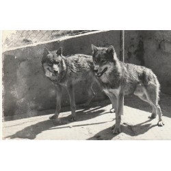 LES MARECOTTES. Parc Zoologique alpin LES LOUPS Reno Ranch