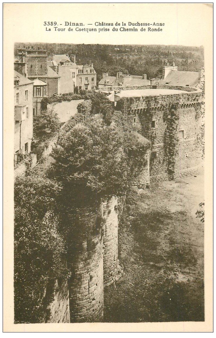 carte postale ancienne 22 DINAN. Château de la Duchesse Anne. Les Remparts 220