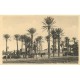 8 x cpa MAROC. Tafilet, Taourirt, Moulouva, Volubilis, Moulay-Idris et Haut-Guir