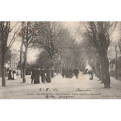 22 SAINT-BRIEUC. La Grande Allée des Promenades 1904