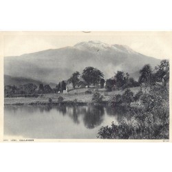 Angleterre Lot 4 x cpa Ledi Callander