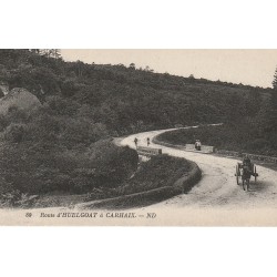 29 Route d'HUELGOAT à CARHAIX avec attelage