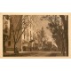 10 cpa TUNIS. Avenue Carthage, Souk Chéchias, rue El-Halfaouïne, Av Marine, Aqueduc Bardo, Salle Trône, Collège Sadiki..