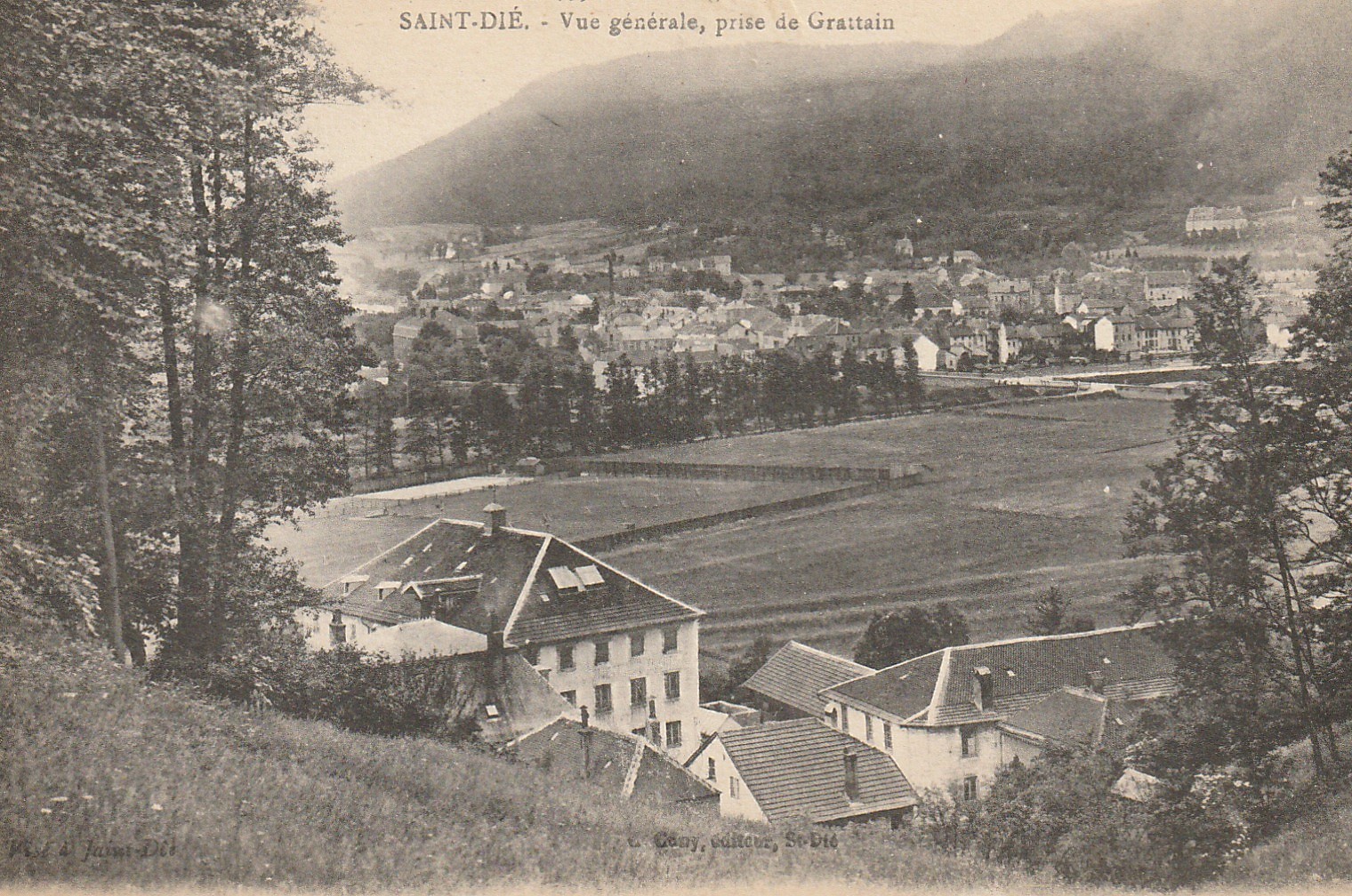 88 SAINT-DIE. Vue générale prise de Grattain