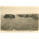 56 BELLE-ILE-EN-MER. La Roche aux Oiseaux et Apothicaire