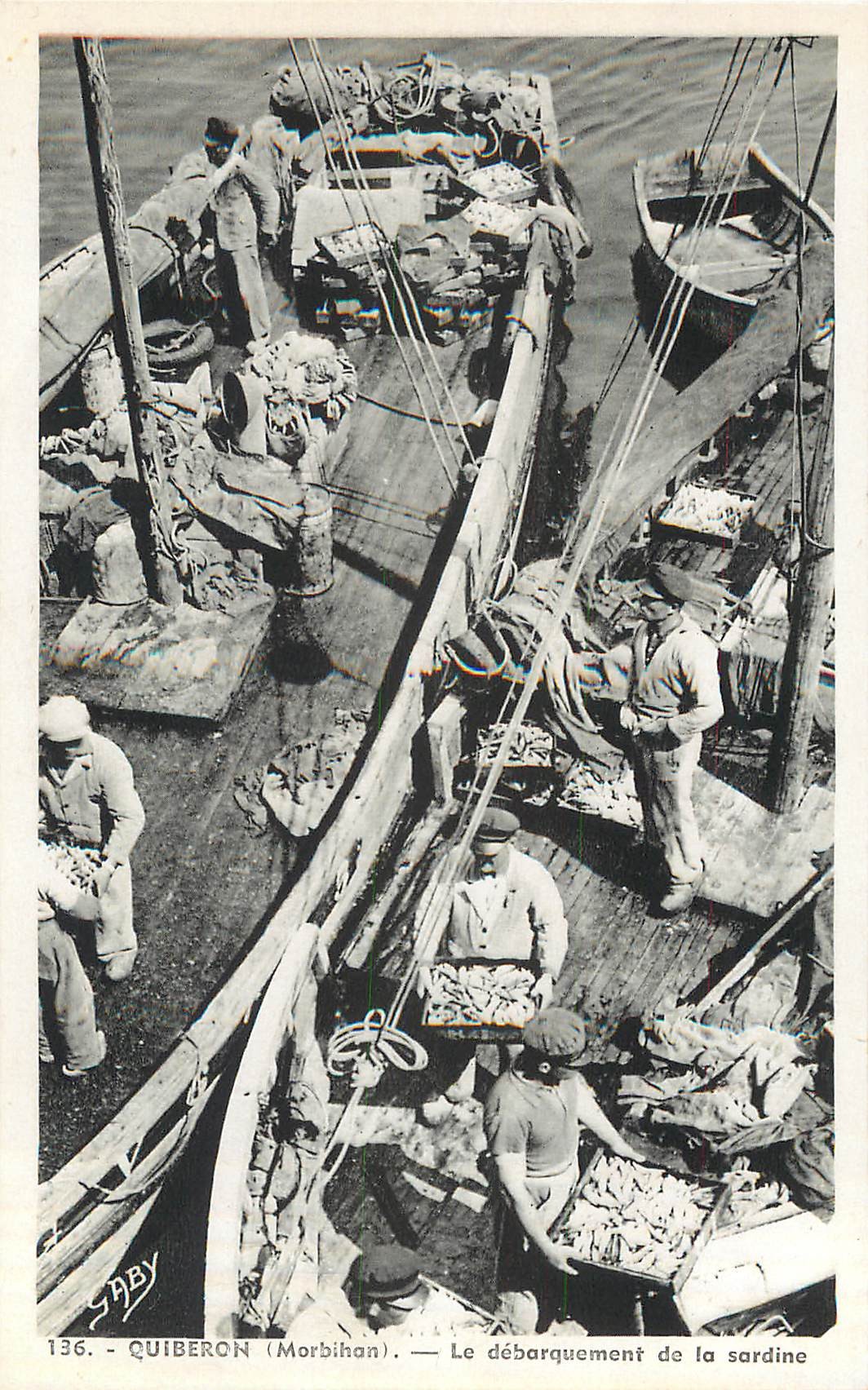 Cpa Cpsm petit format 56 QUIBERON. Le débarquement de la Sardine à Port Maria