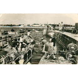 Photo Cpsm petit format 56 LORIENT. Le Port de Pêche à Lomener 1957