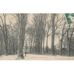 60 NOYON. La Grande Allée vers la Gare animée