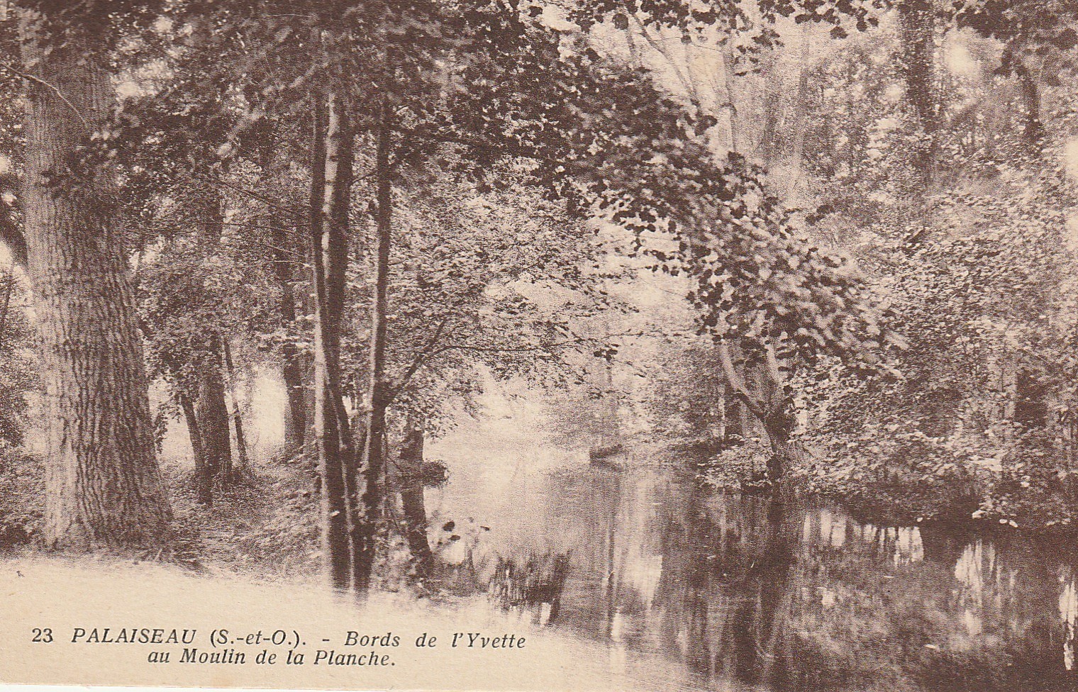 91 PALAISEAU. Bords de l'Yvette au Moulin de la Planche