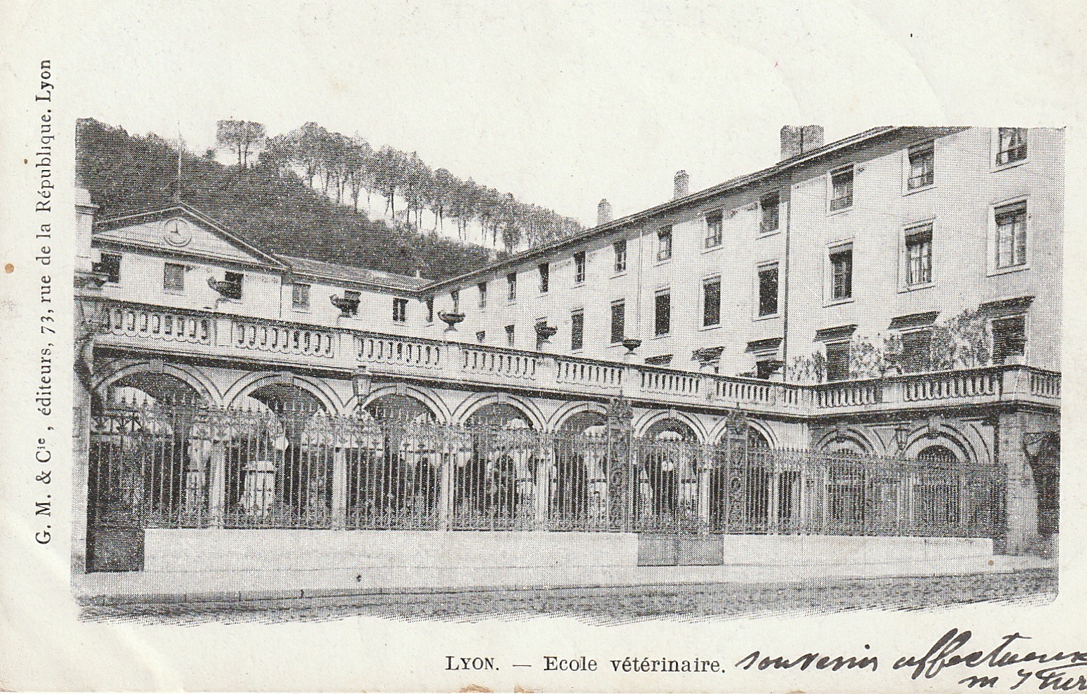 69 LYON. Ecole Vétérinaire 1904