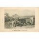 FEZ FES. Le Labour au Maroc avec boeuf et dromadaire 1924