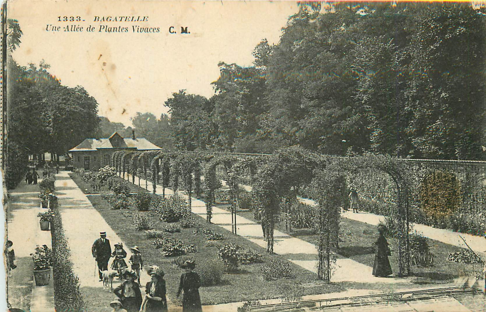 Paris XVI° BAGATELLE. Une Allée de Plantes Vivaces animée