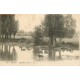 21 DIJON. L'Ouche au Parc avec chien dans l'eau et vaches 1918
