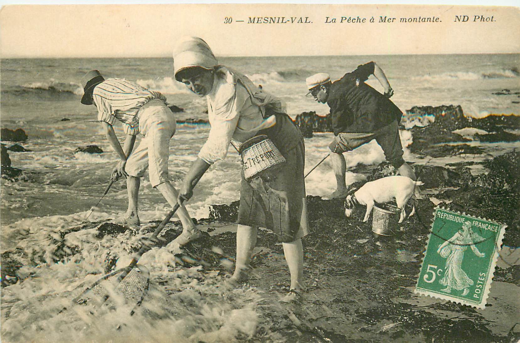76 MESNIL-VAL. Pêche à la Crevette à Mer montante 1914