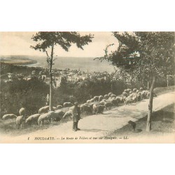 14 HOULGATE. Troupeau de Moutons Route de Villers