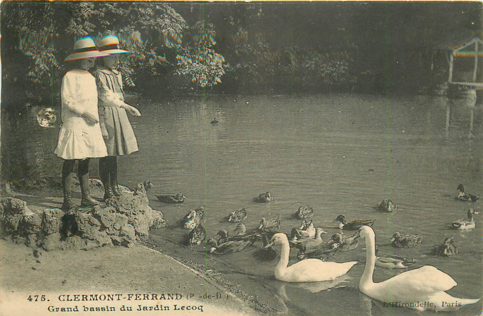 63 CLERMONT-FERRAND. Grand bassin du Jardin Lecoq avec Cygnes et canards 1914