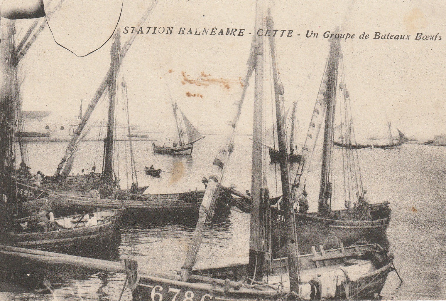 34 SETE CETTE. Un groupe de Bateaux Boeufs avec Pêcheurs 1916