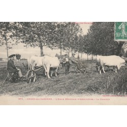 31 ONDES-SUR-GARONNE. La Fenaison Ecole Régionale d'Agriculture 1923 avec boeufs et charrue