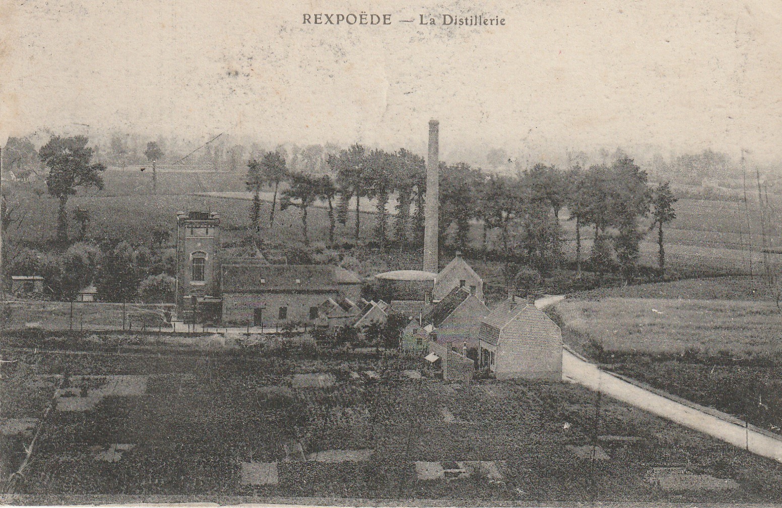 59 REXPOEDE. La Distillerie 1918