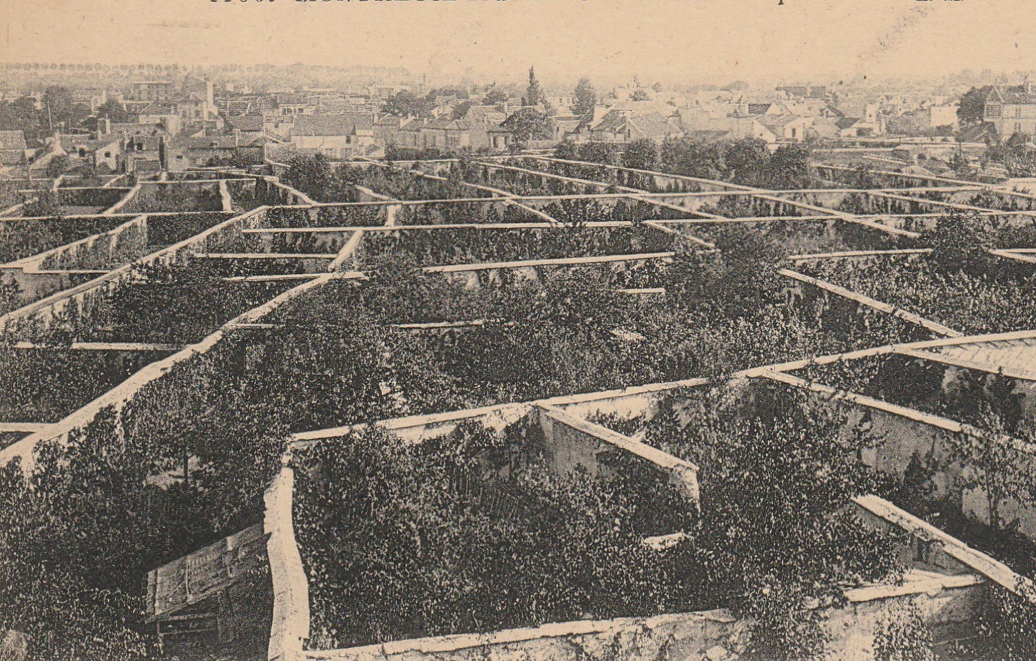 93 MONTREUIL-SOUS-BOIS. Le Clos des Pêches 1925