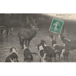 45 LES BORDES. Chasses à Courre en forêt d'Orléans. Le Bat-l'eau 1913