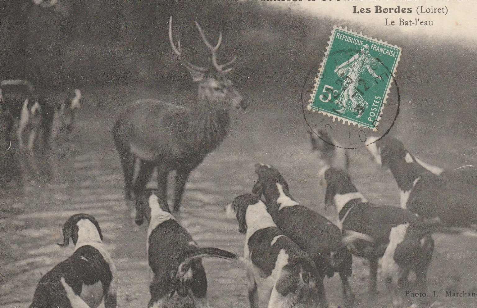 45 LES BORDES. Chasses à Courre en forêt d'Orléans. Le Bat-l'eau 1913