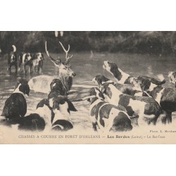 45 LES BORDES. Chasses à Courre en forêt d'Orléans. Le Bat-l'eau