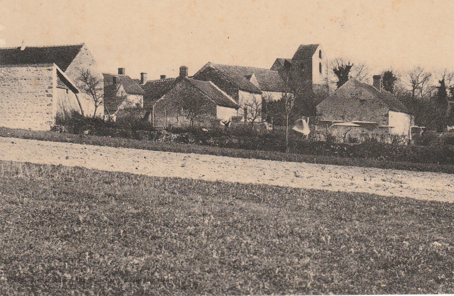 45 VILLEREAU. Panorama