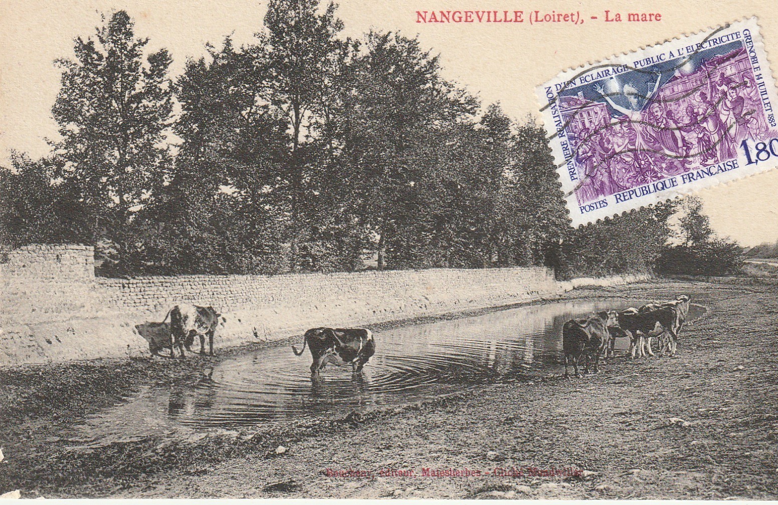 45 NANGEVILLE. Vaches s'abreuvant dans la Mare