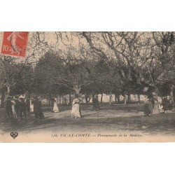 63 VIC-LE-COMTE. Promenade de la Molière bien animée 1907