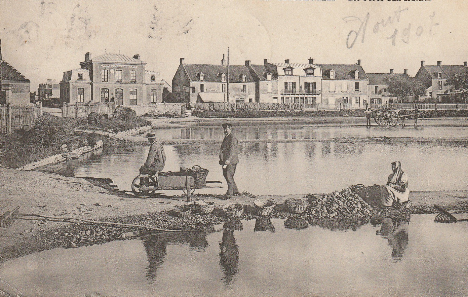 14 COURSEULLES. Les Parcs aux Huîtres avec brouette 1907