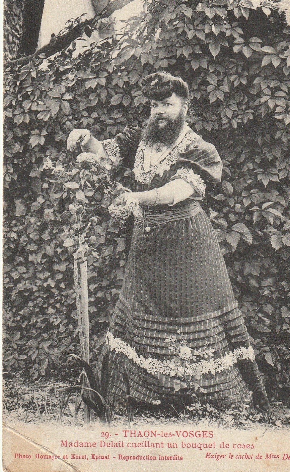88 THAON-LES-VOSGES. Madame Delait cueillant un bouquet de Roses 1908