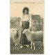 carte postale ancienne 22 ILE DE BREHAT. Bréhatine gardant ses Moutons de Pré-Salés