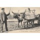 64 AU PAYS BASQUE. Attelage de Boeufs 1924