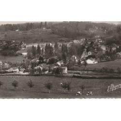 Photo cpsm petit format 52 NOGENT-EN-BASSIGNY. Vue de Nogent-le-Bas 1952
