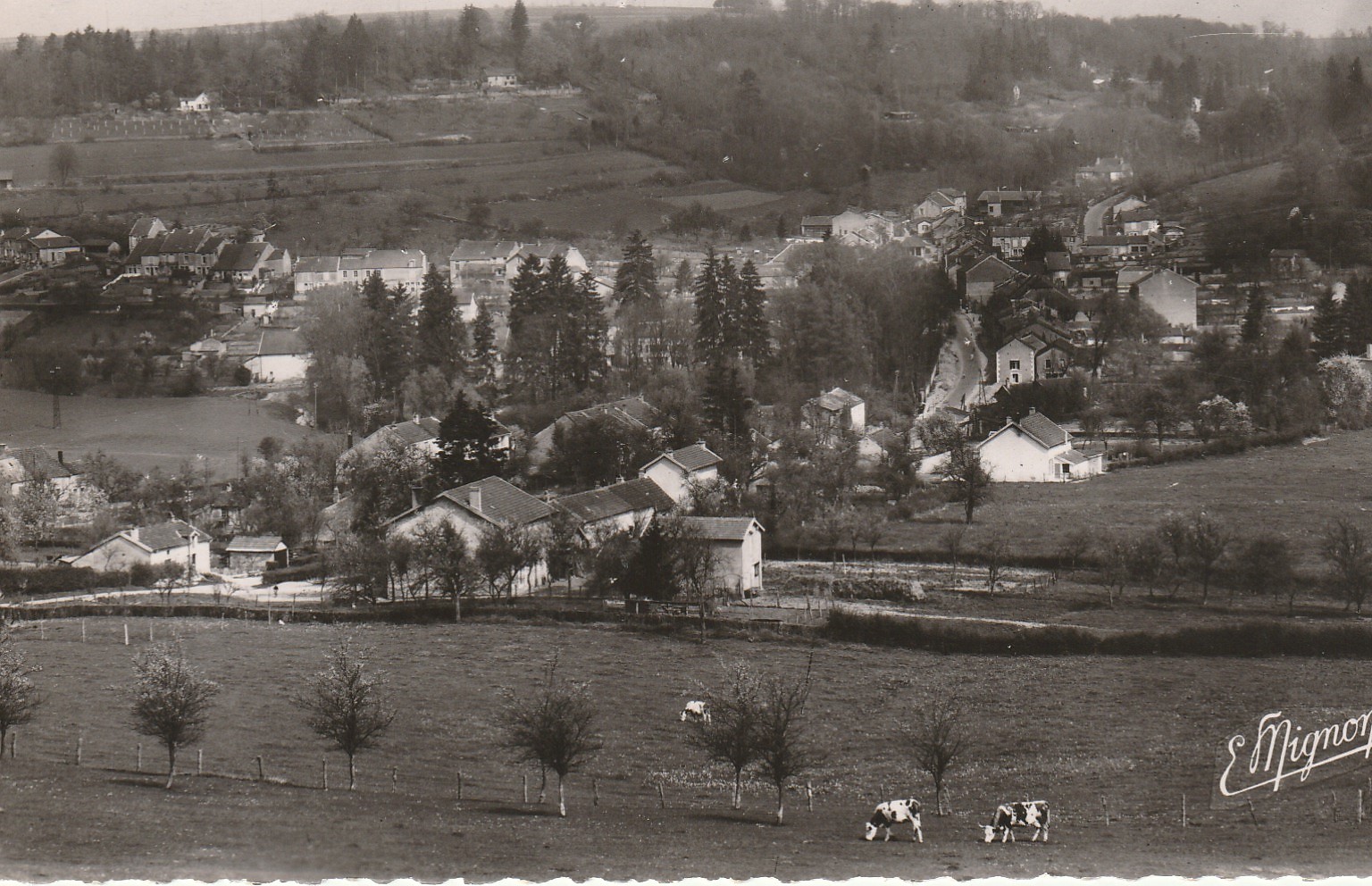 Photo cpsm petit format 52 NOGENT-EN-BASSIGNY. Vue de Nogent-le-Bas 1952