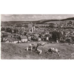 Photo cpsm petit format 25 PONTARLIER. Les Pâturages et la Ville 1955