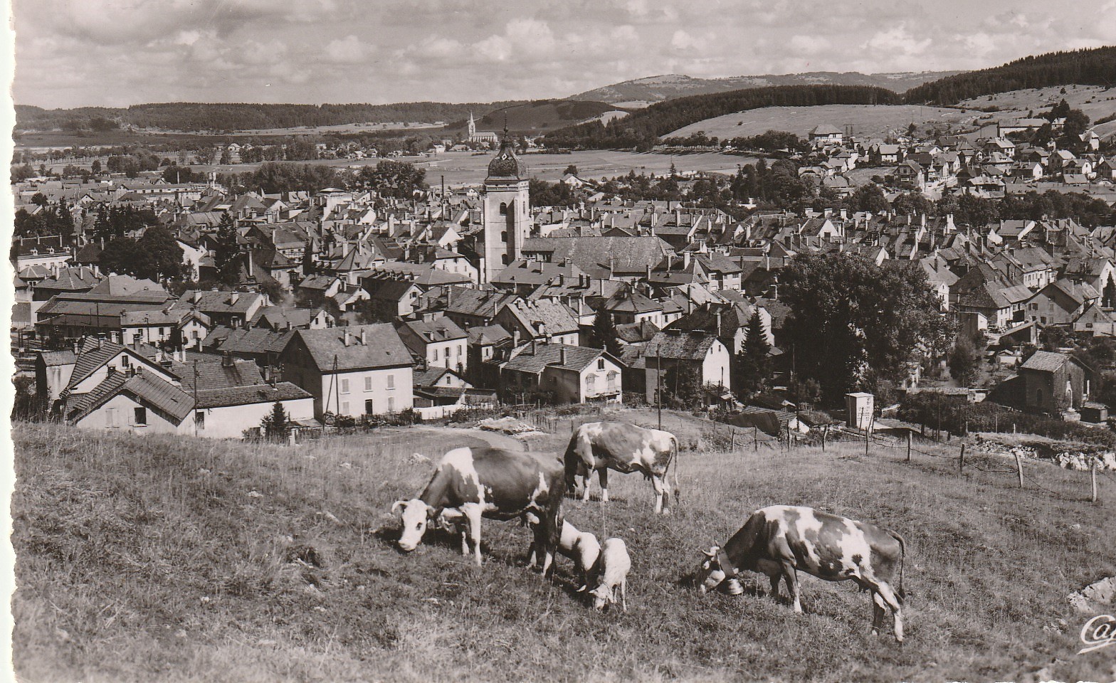 Photo cpsm petit format 25 PONTARLIER. Les Pâturages et la Ville 1955