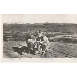 Photo cpsm petit format PUIGCERDA. Vista panoramica avec attelage de Boeufs 1953