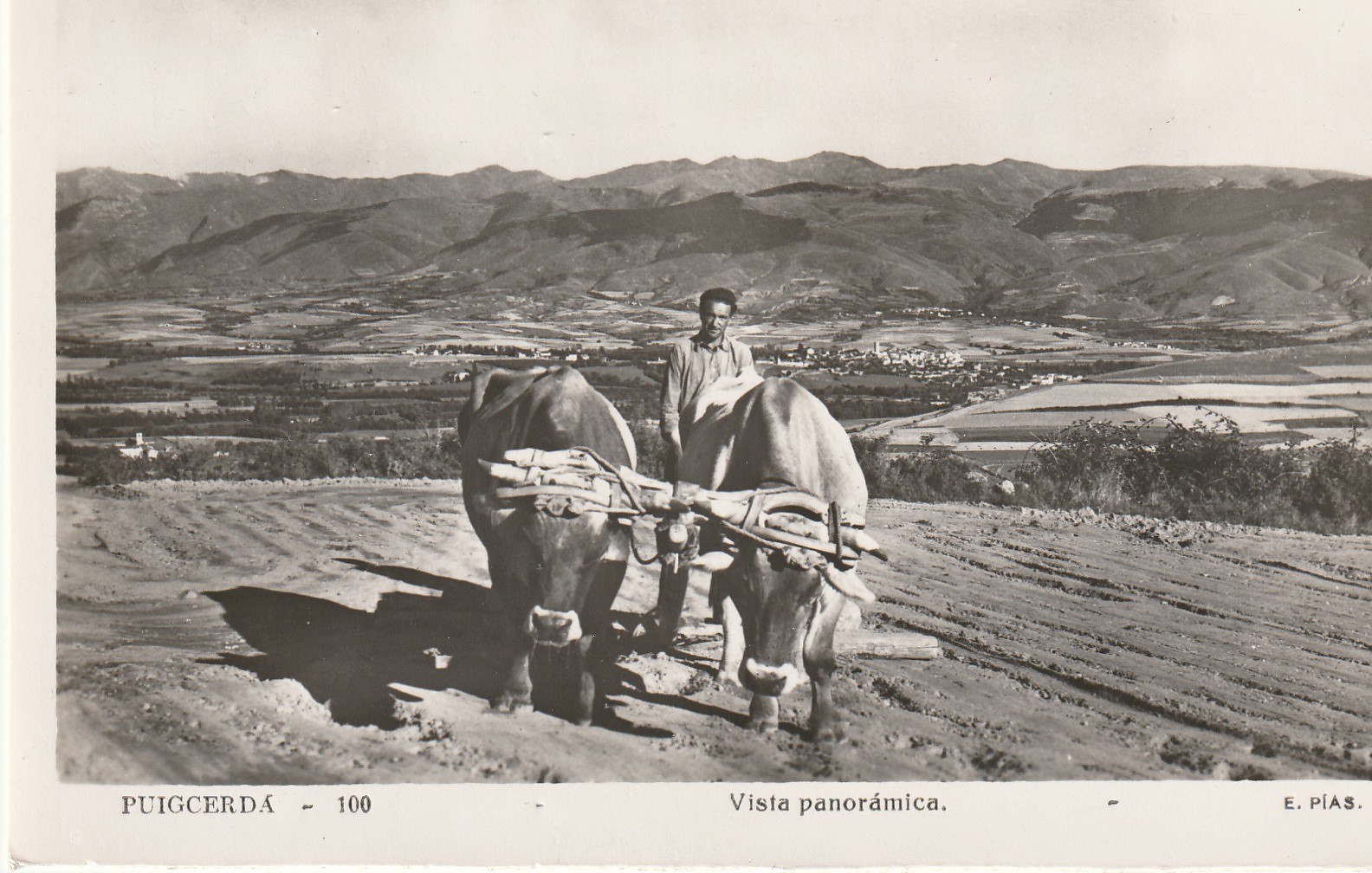 Photo cpsm petit format PUIGCERDA. Vista panoramica avec attelage de Boeufs 1953