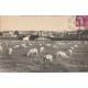 78 BONNIERES-SUR-SEINE. Vue d'ensemble sur la Ville et troupeau de moutons 1934
