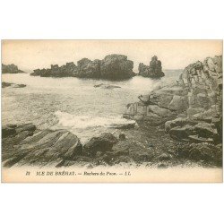 carte postale ancienne 22 ILE DE BREHAT. Rochers du Paon