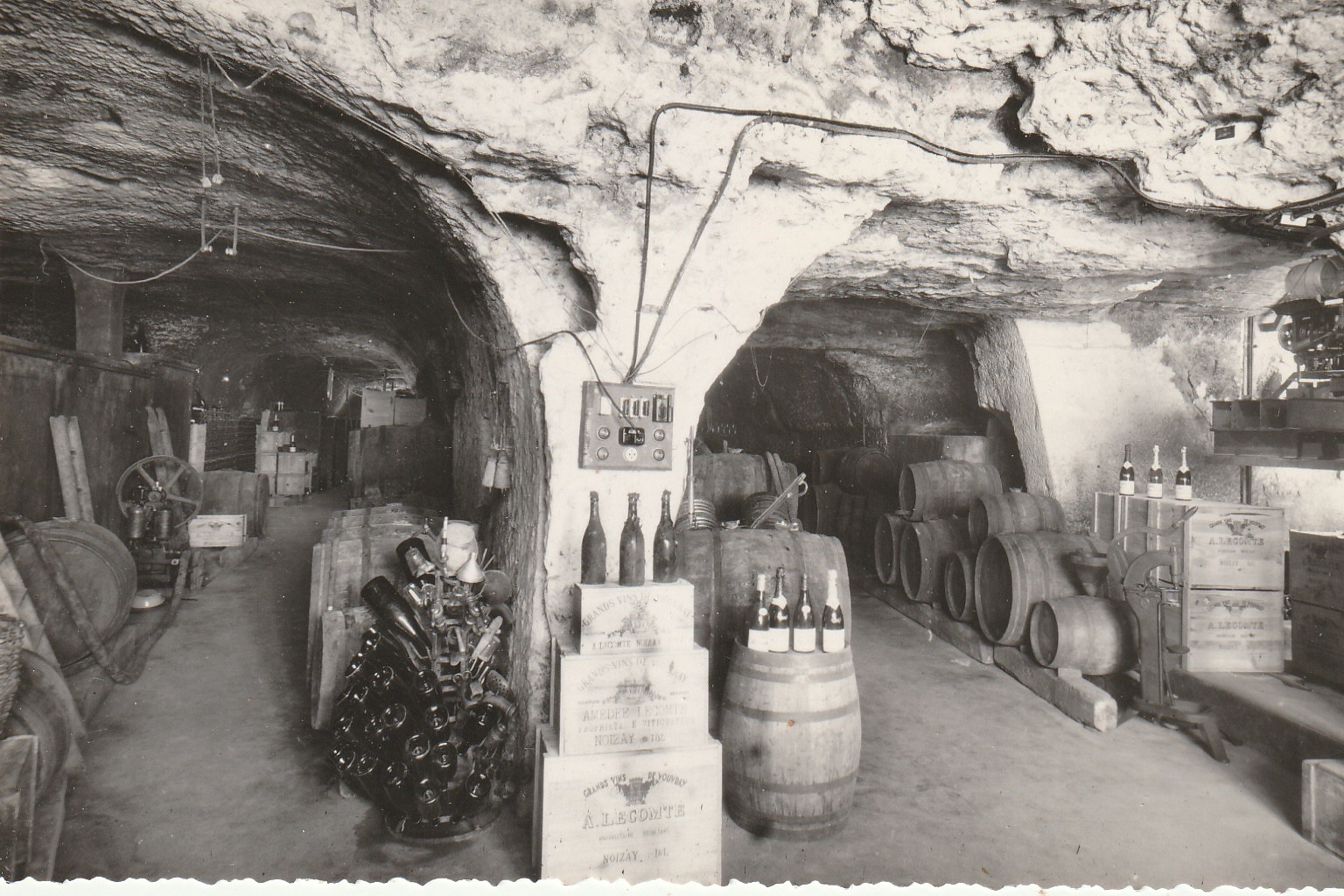 Photo Cpsm petit format 37 NOIZAY. Une Cave de bon vin 1952