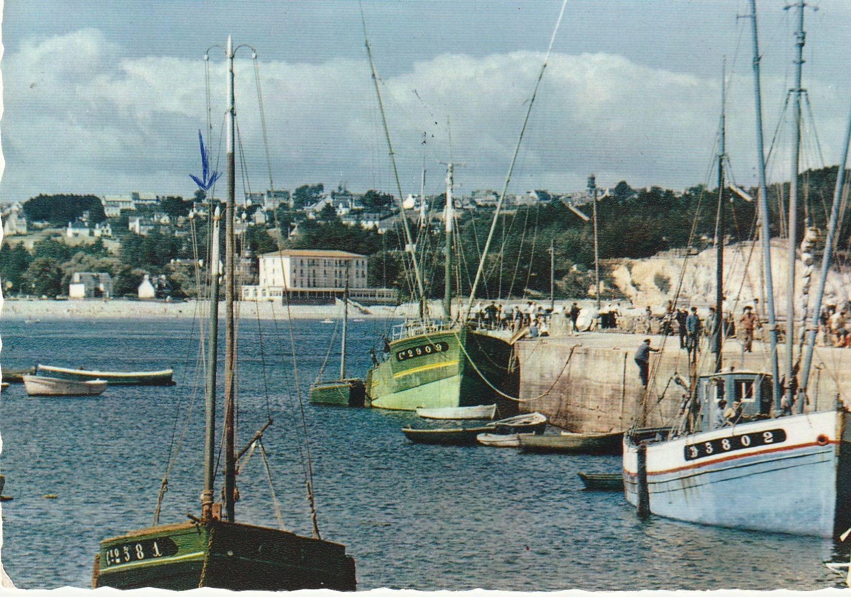 Photo Cpsm grand format. 29 MORGAT. Les Thoniers dans le Port 1960